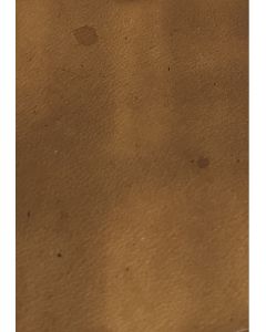 LÄDERFÄRG camel 1 L spritbaserad